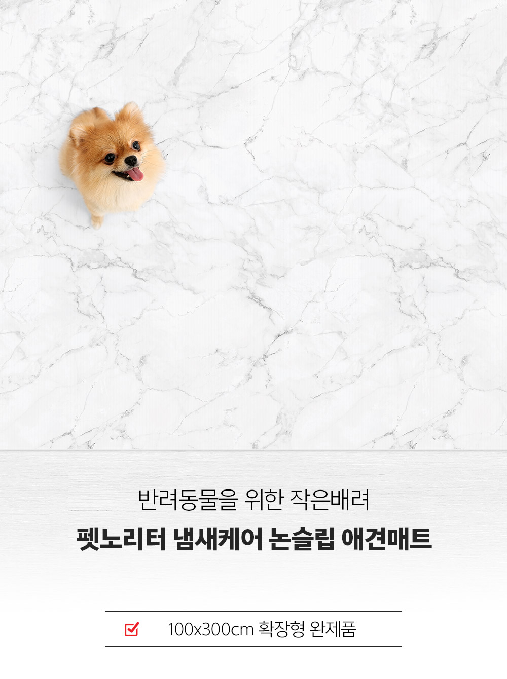 인트로