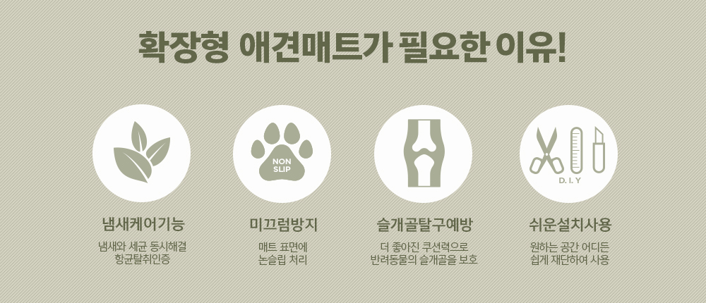 주요포인트